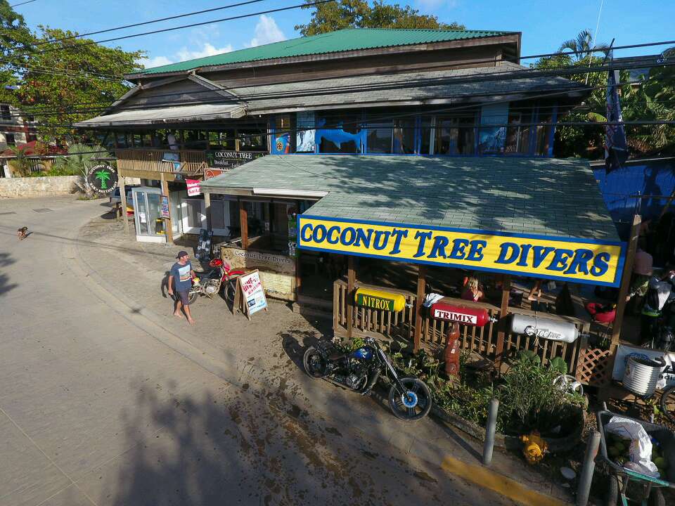  Coconut dive shop front entrance. 