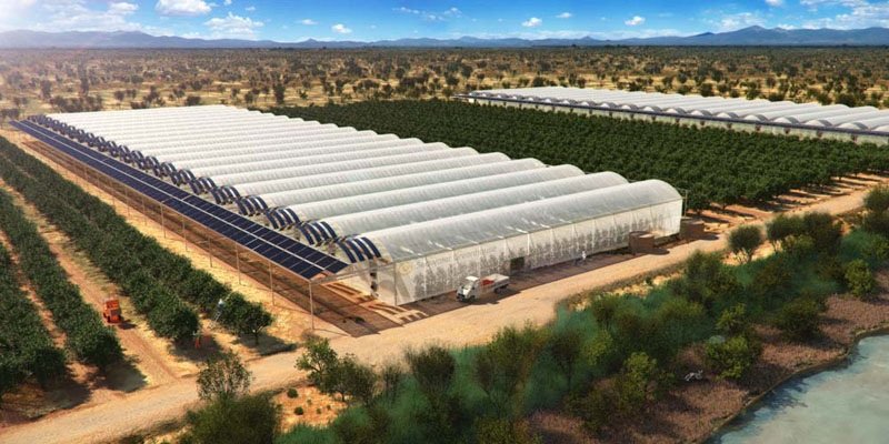 Working with clients and partners around the world, we design greenhouse solutions for hot and dry coastal regions, often where agriculture would othe