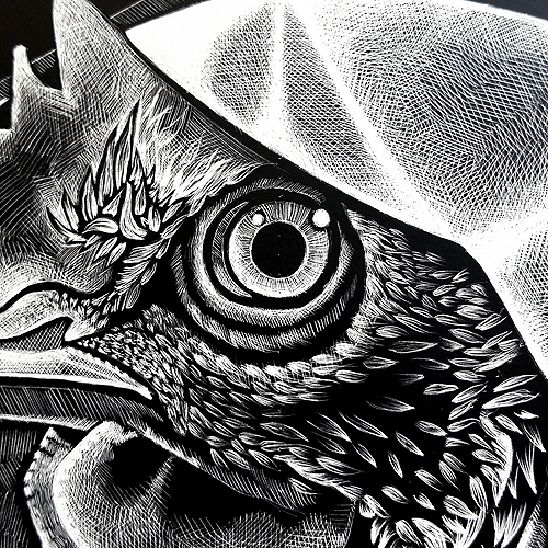 all things fowl detail eye 2 72 500