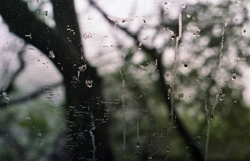Rain Screen_1