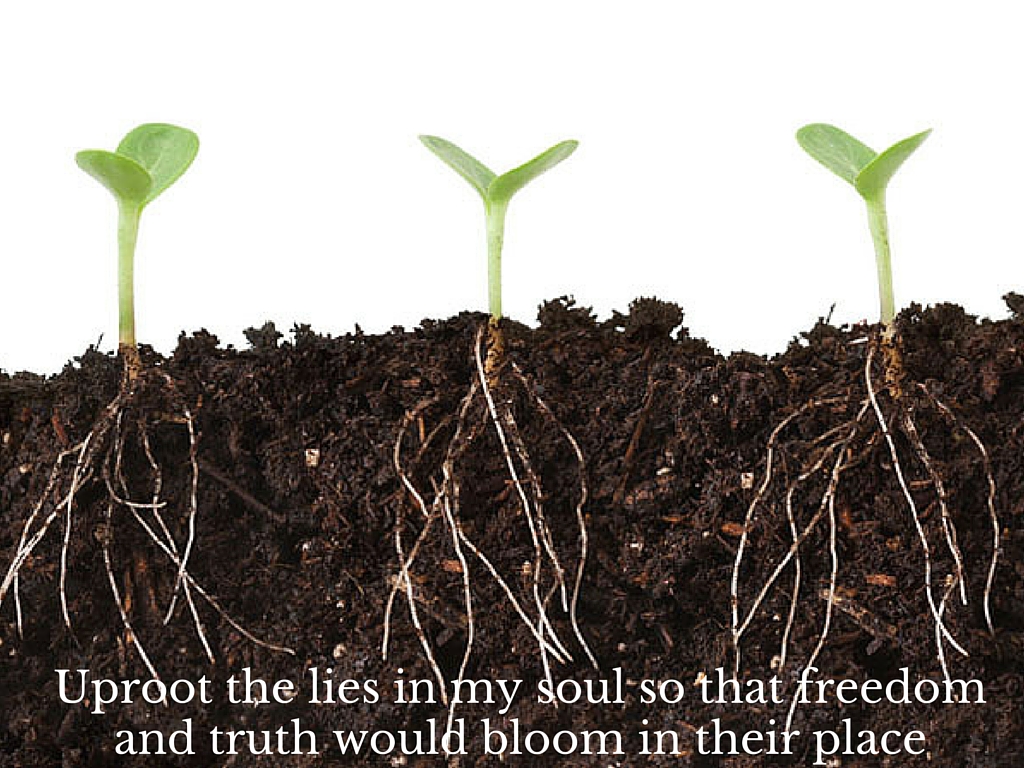 uproot the lies that have taken root in my soul and that freedom and truth would bloom in their place