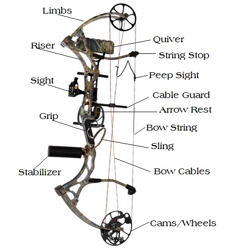 Basic Diagram of a Compound Bow.