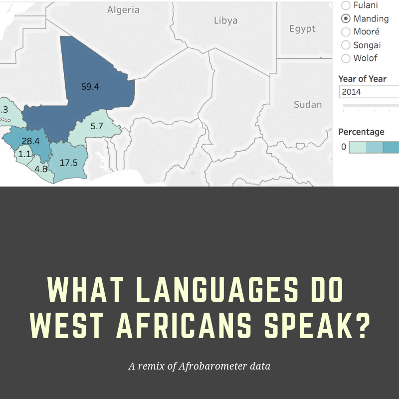 What language does africa speak