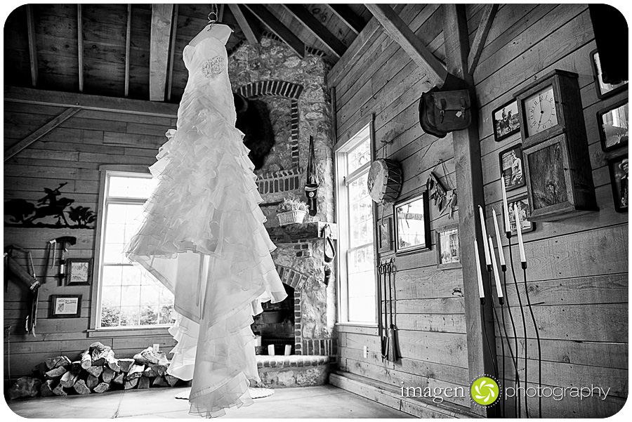Red Run Bison Farm Wedding Marshallville Ohio, Wedding Dress Shot