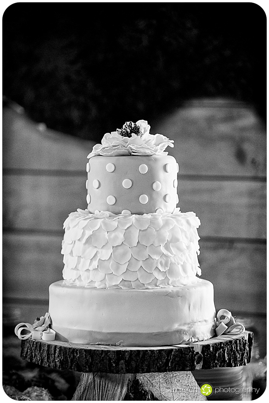 Red Run Bison Farm Wedding Marshallville Ohio, Wedding Photography, Wedding Cake