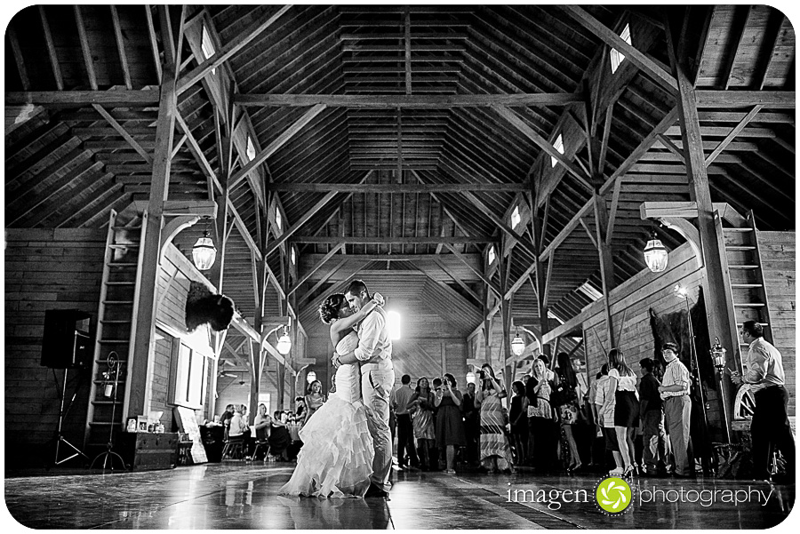 Red Run Bison Farm Wedding Marshallville Ohio, Wedding Photography, Reception