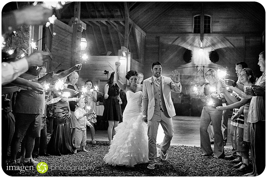 Red Run Bison Farm Wedding Marshallville Ohio, Wedding Photography