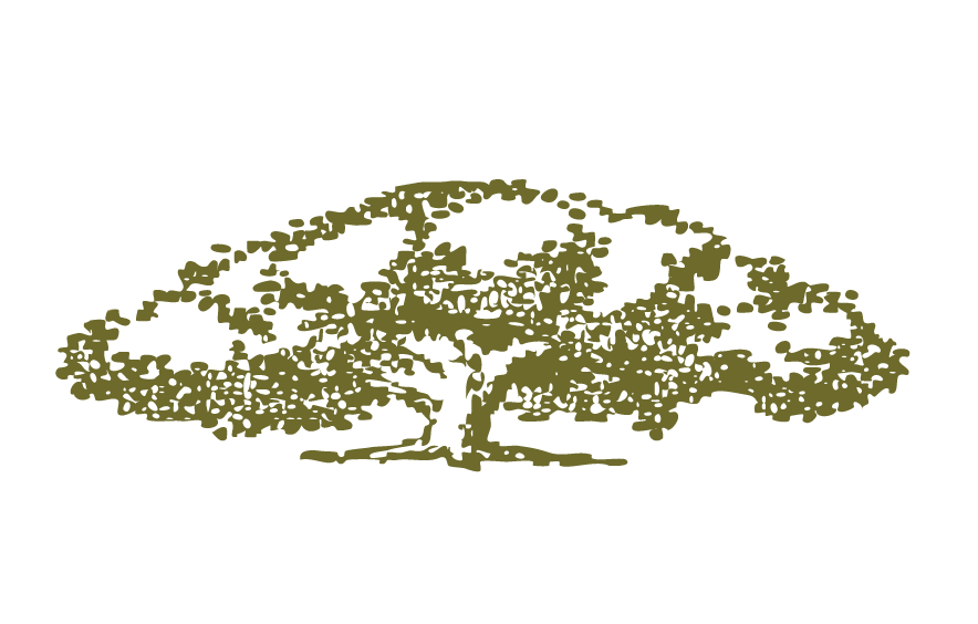 Rockford Kitchen Designs