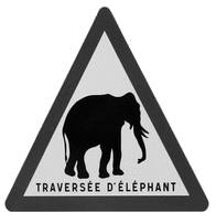 traversee elephant
