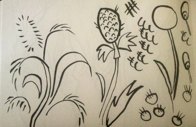 pod flower sketch