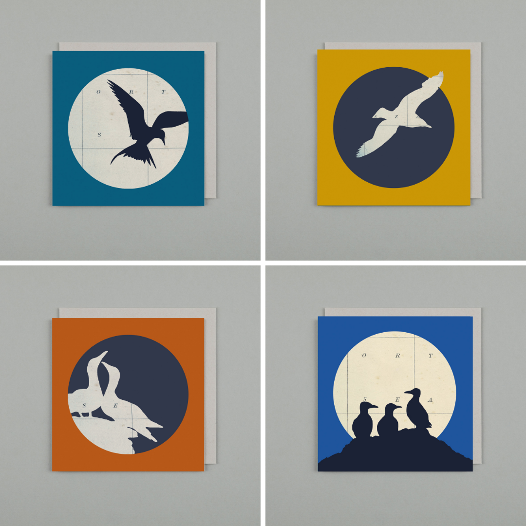 Three Dimensional Card Birds Flights of Fancy Card Sea Birds 
