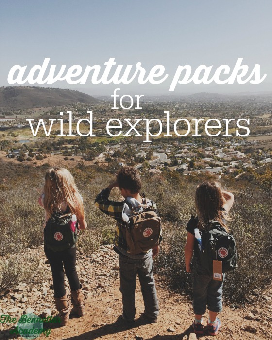 adventure packs for wild explorers