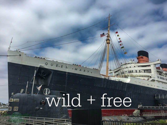 wild + free conference
