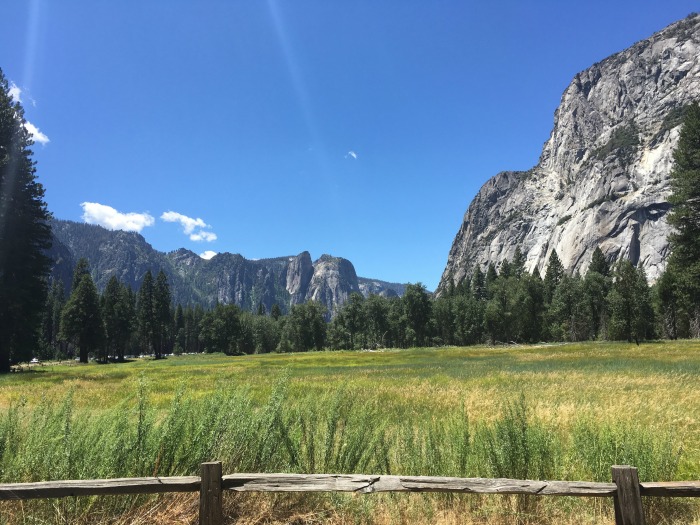 meadow in Yosemite