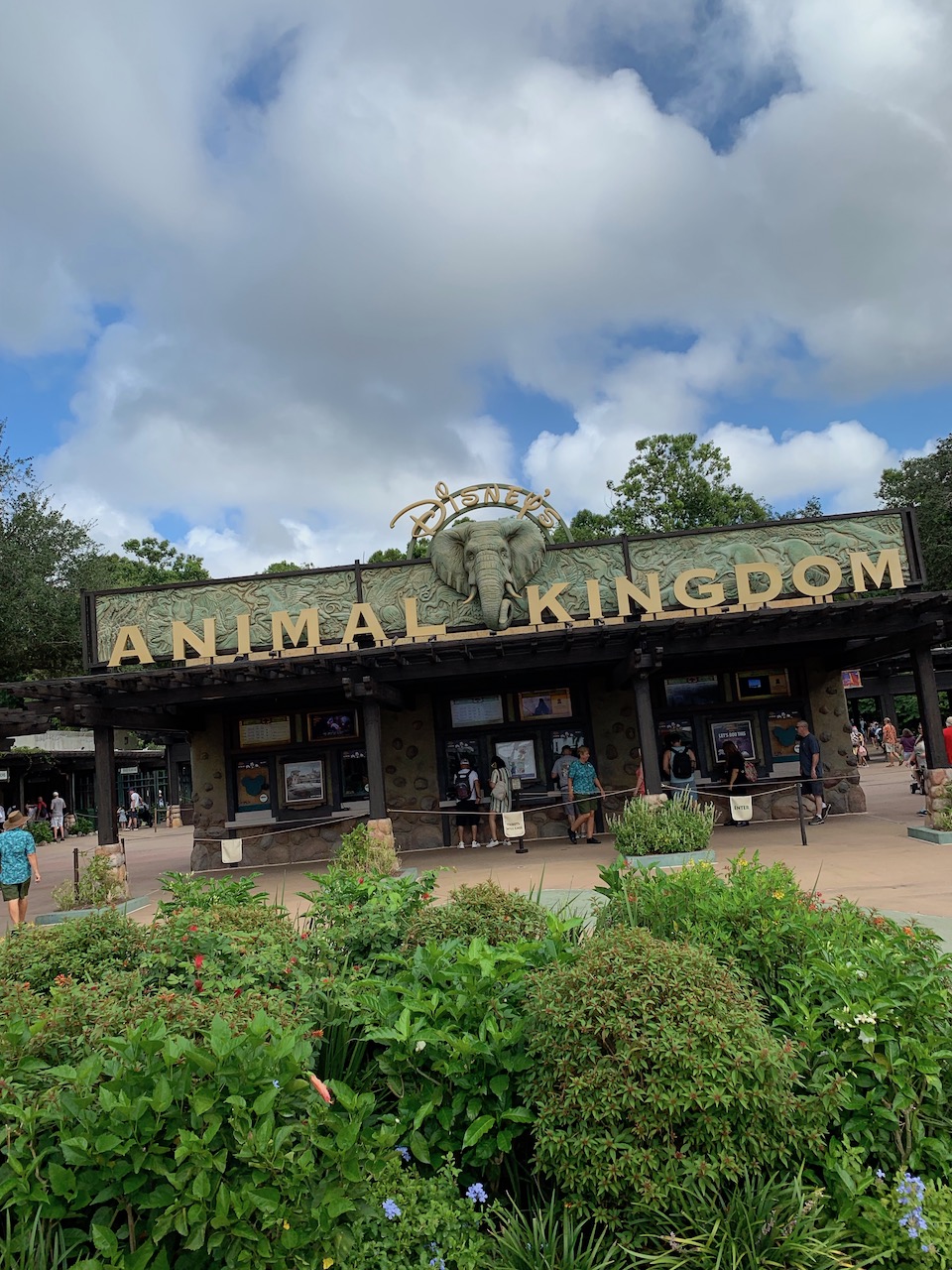 Complete Guide to Disney Animal Kingdom Rides (2023) - Mouse Hacking