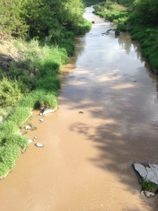 A very muddy Hangman Creek on 5-20-15.  