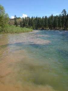 At the confluence of Hangman Creek and the Spokane River.  Hangman Creek is polluting the Spokane River. 