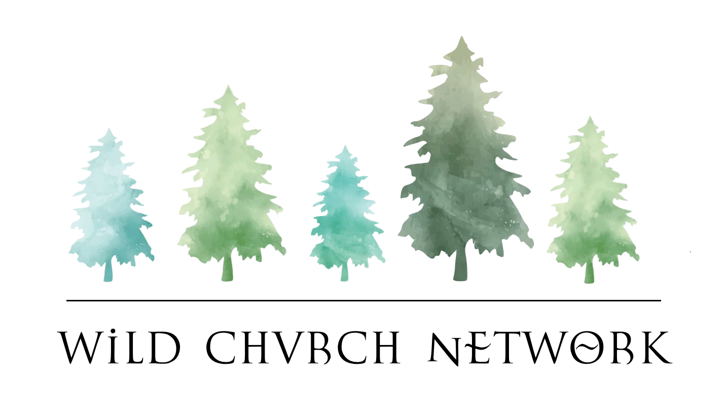 Image result for wild church network