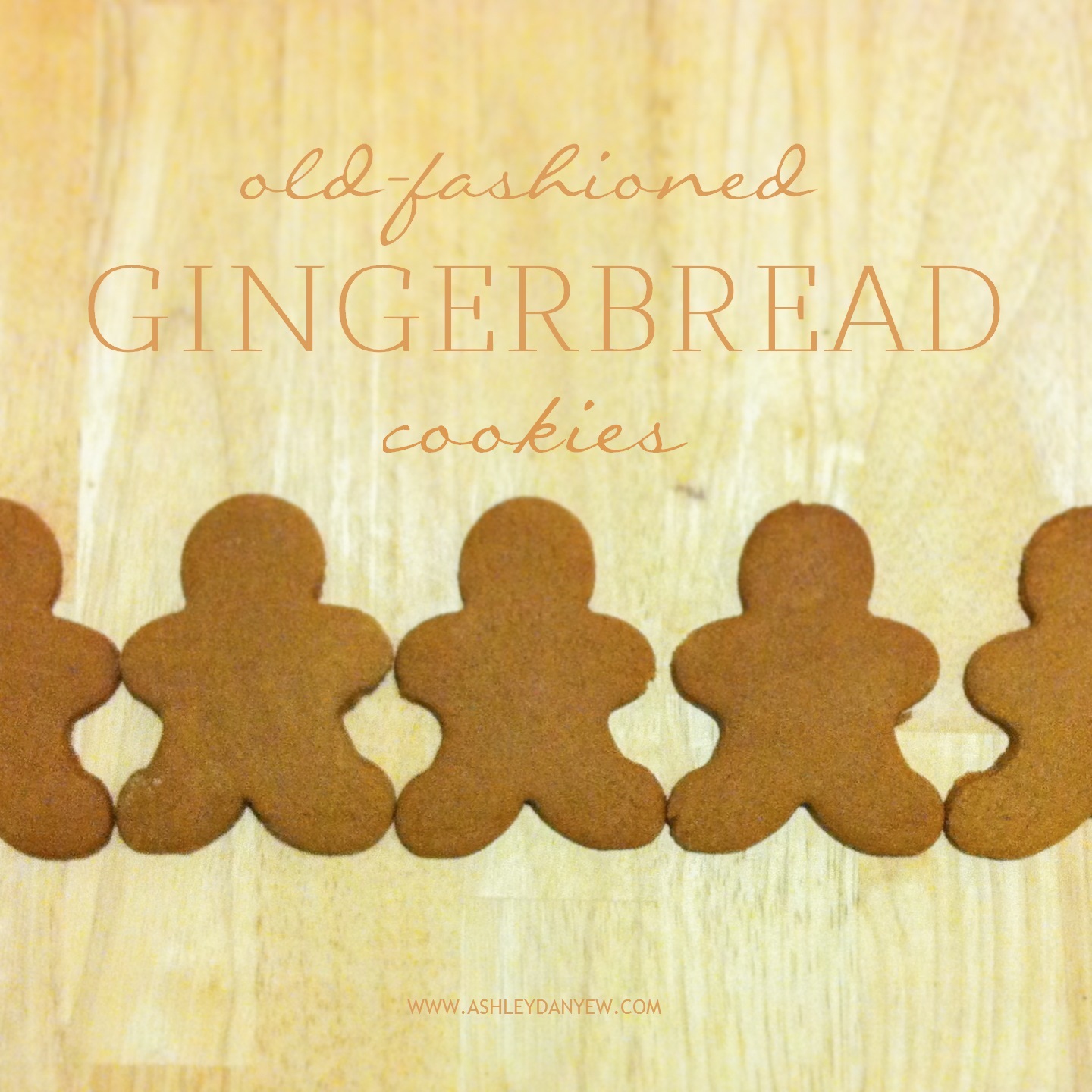 Ashley Danyew | Gingerbread