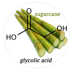 Sugarcane Island Sugarcane Juice and Pure Cane Syrup — Why sugarcane is  great for your skin