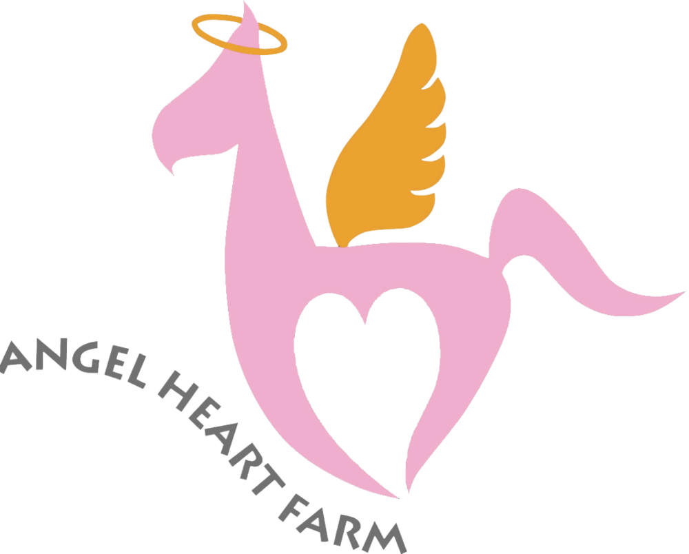 Angel Heart Farm: Joy and Ponies for Children with Cancer 
