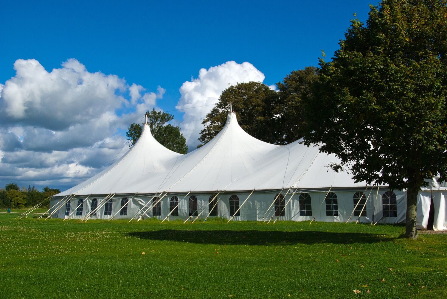 Why You Should Rent a Party Tent for Your Next Event — Willie Fun Events -  Milwaukee Party Rentals - Milwaukee Bounce House Rentals