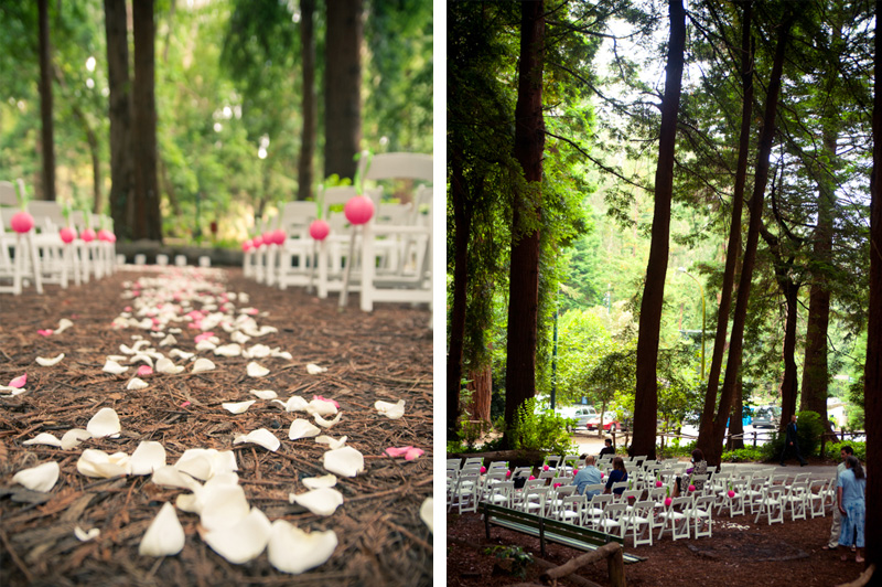 Redwood ceremony location at Stern Grove Wedding