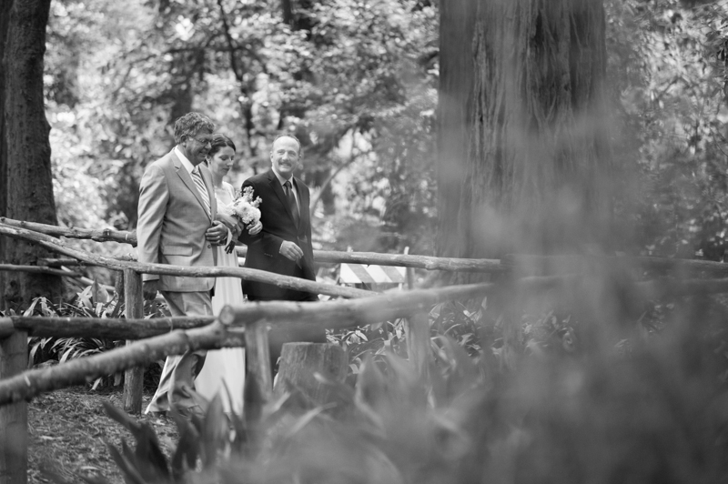 Bride walking with father and step father at Stern Grove Wedding