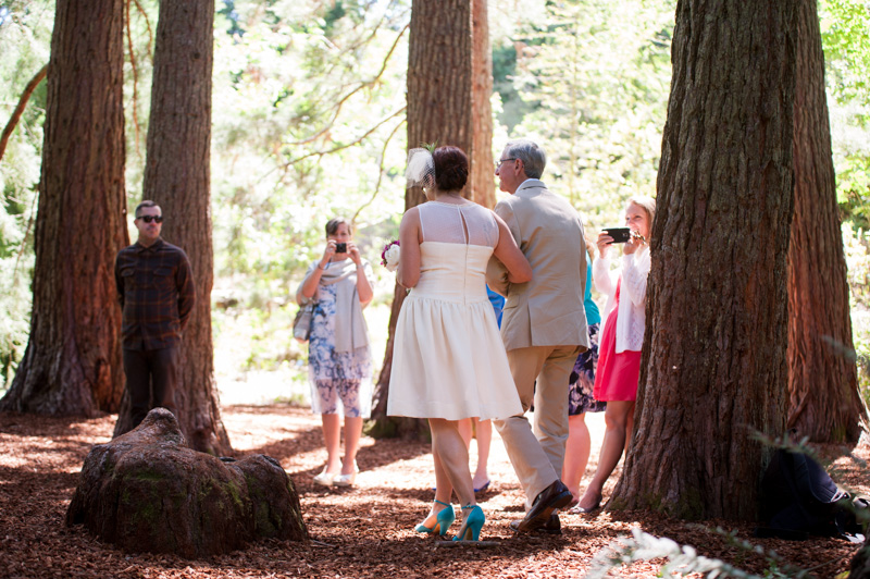 Bride walking down aisle under redwood grove in Tilden Park