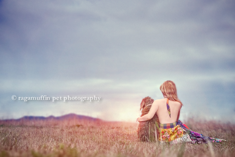 Girl sitting in a field with her dog in Melbourne, Australia at sunset