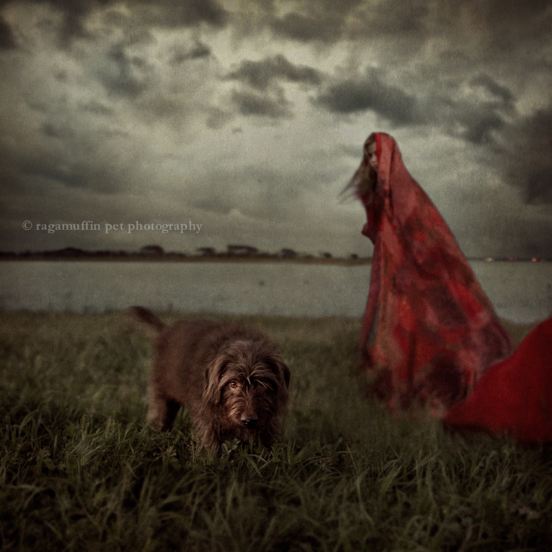 Dramatic photo of woman and dog