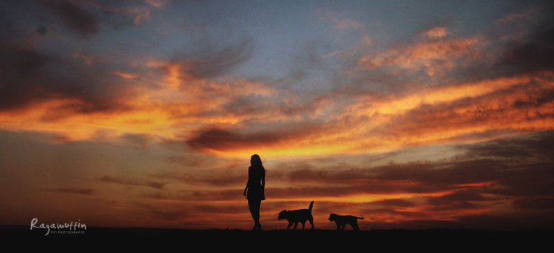 dog and girl at sunset