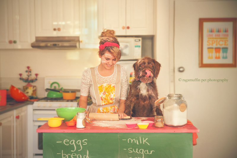 Cooking with your dog by Ragamuffin Pet Photography Melbourne