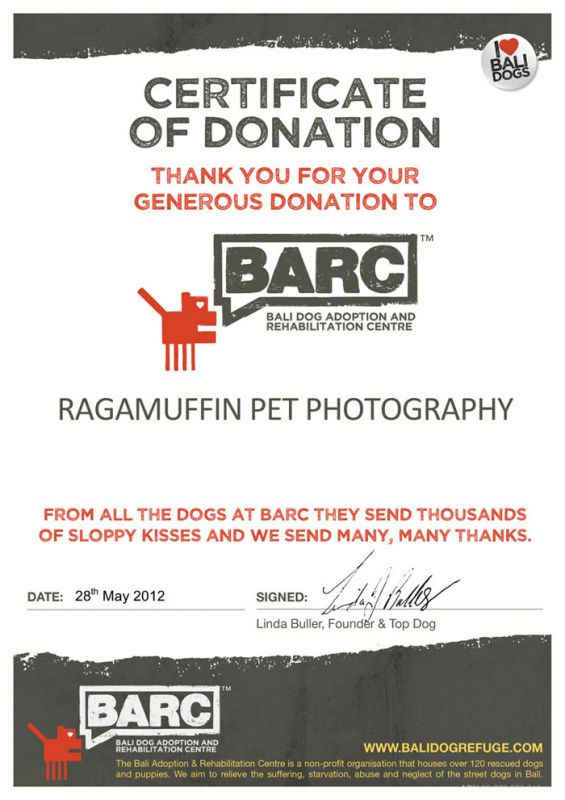Certificate of Appreciation for Ragamuffin Pet Photography in Melbourne