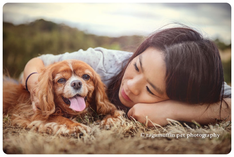 Chico the cavvie cuddling his Mum during our pet photography session in Templestowe
