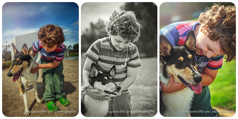 Photo of Dogs for Kids with Disabilities