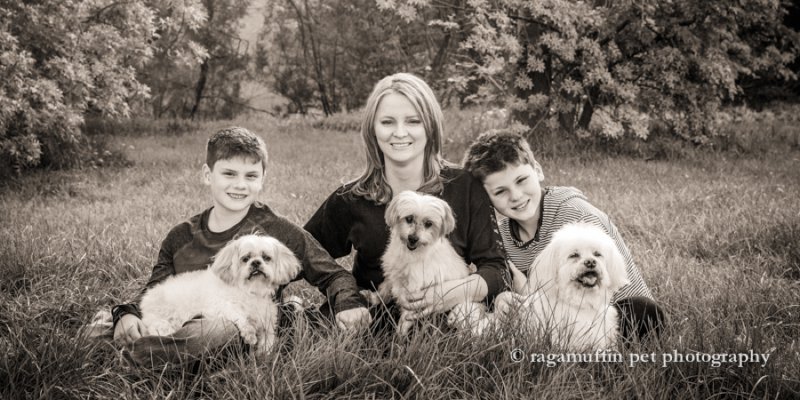 Natural Family Photograph with their Dogs in Templestowe