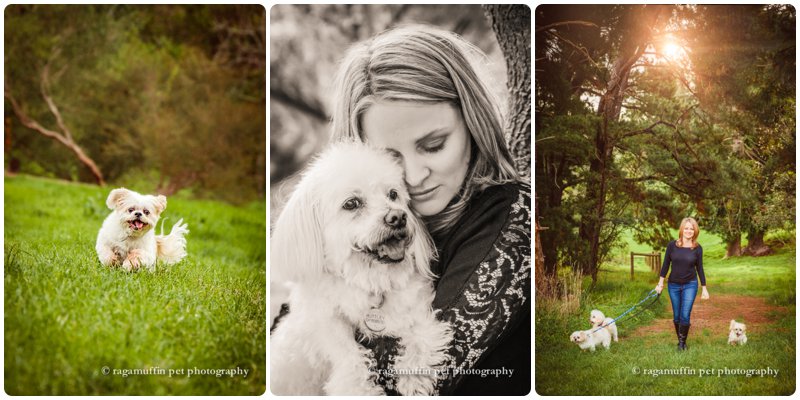 Artistic Photographs of Lady with her Dogs in Templestowe