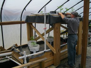 Aquaponics intern Doug adjusting the plants on our Aquaponics system in the greenhouse