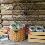 Tryon Road Farm Stand