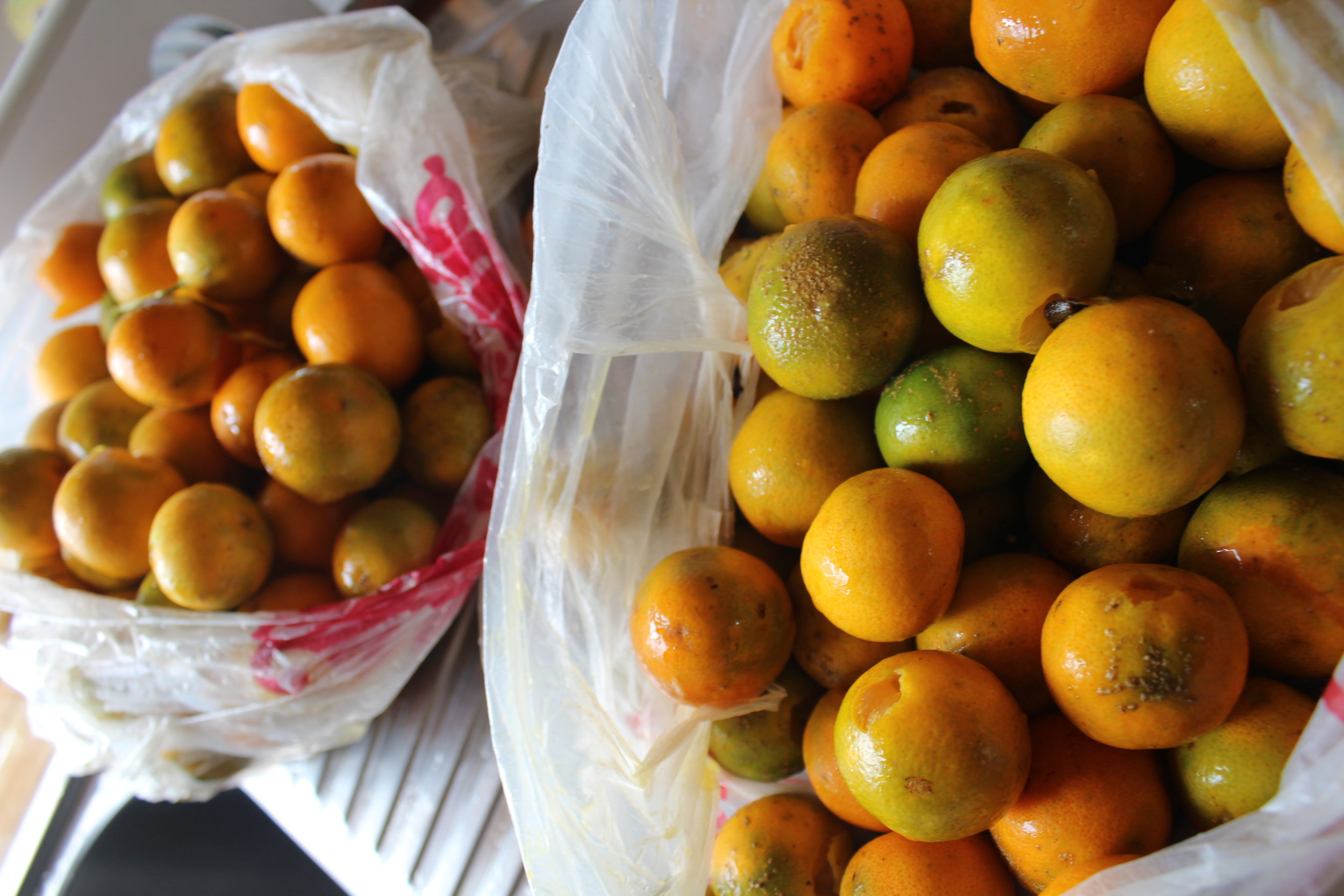 Bags of kumquats