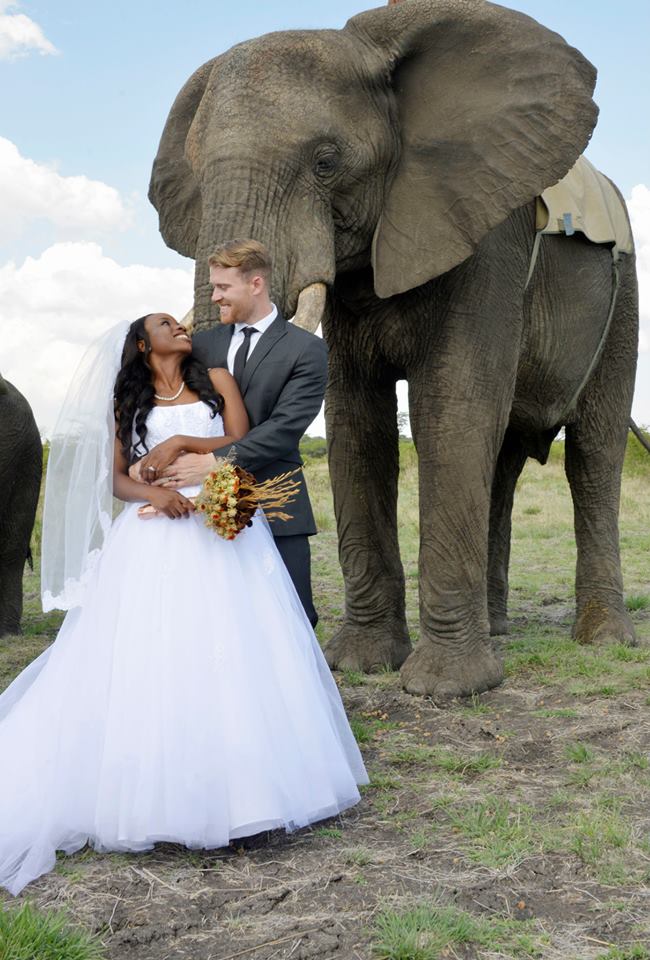 Zimbabwean Wedding 9