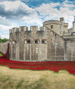 'Blood Swept Lands and Seas of Red' poppy installation at the Tower of London to mark the centenary of the First World War.