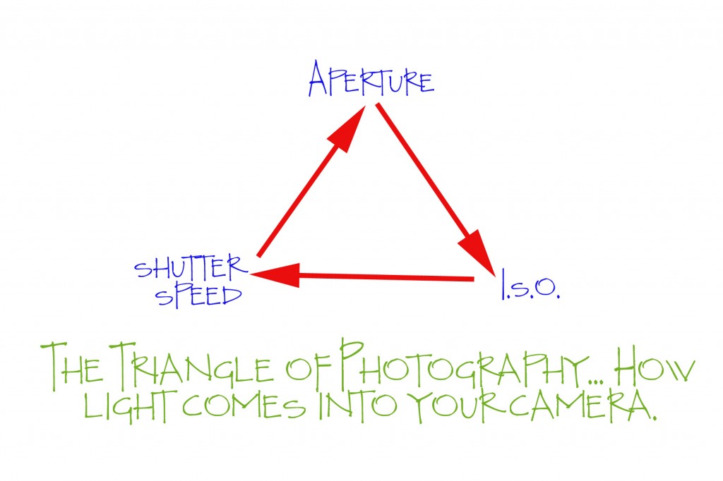 Aperture, Shutter Speed, and ISO.  Three things that make or break your image.