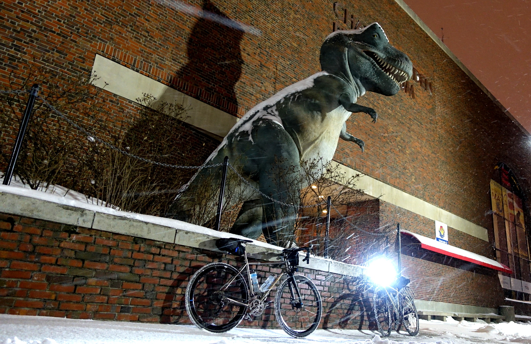 T-Rex in the snowstorm