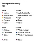 01 Ethnicity table
