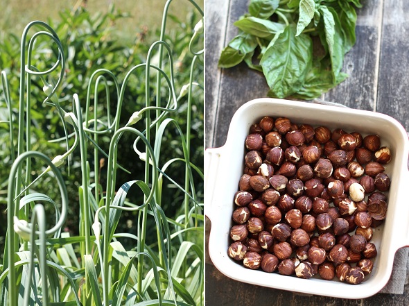 scapes and hazelnuts
