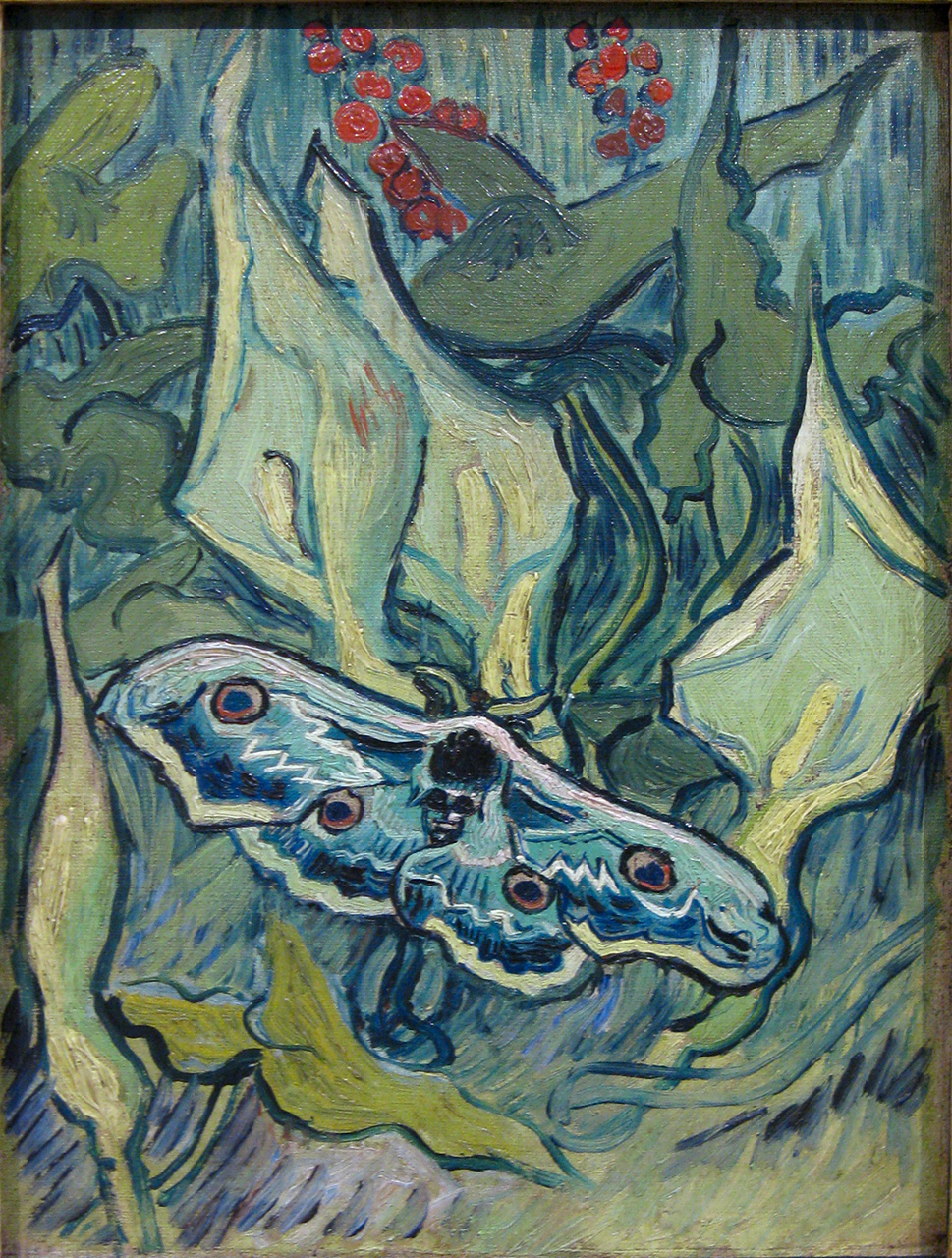 Moth by Van Gogh