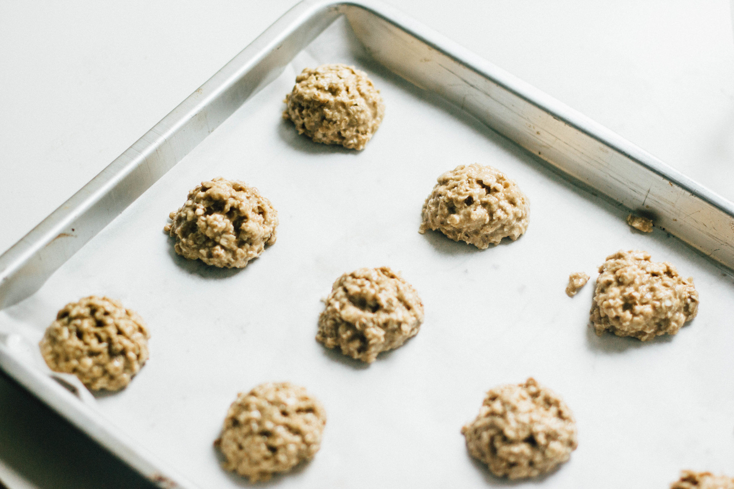 doggie-oatmeal-ginger-cookies