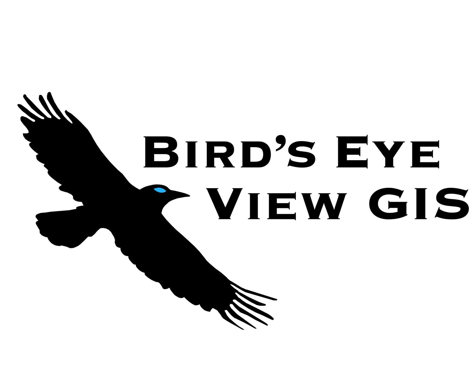 Bird's Eye View GIS